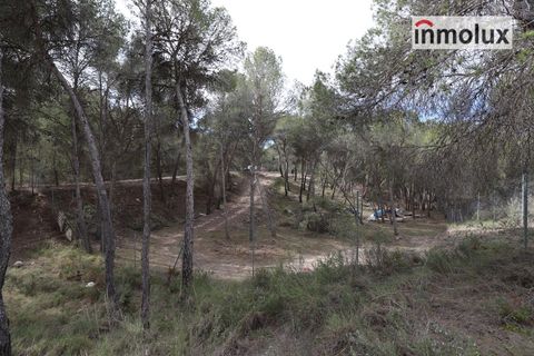 Finca i Tibi, Alicante, Tibi - € 46.000 | Ref: 5515 - foto 12