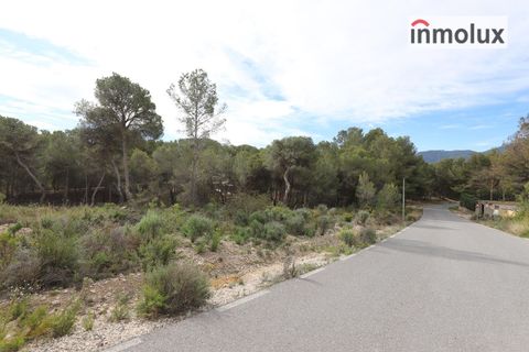 Finca i Tibi, Alicante, Tibi - € 46.000 | Ref: 5515 - foto 13