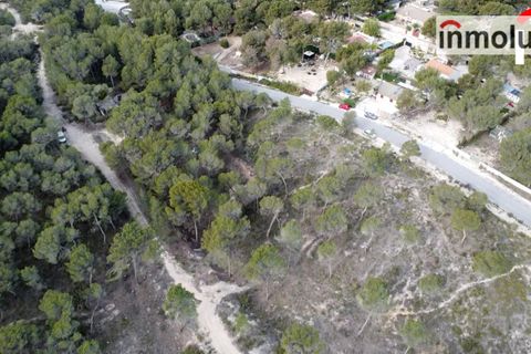 Finca i Tibi, Alicante, Tibi - € 46.000 | Ref: 5515 - foto 14