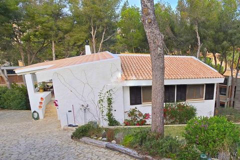 Villa a Santa Ponsa, Mallorca, Santa Ponsa - € 4.500/mes | Ref: EE2125 - foto 9