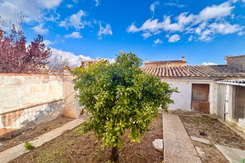 Byhus i Alaro, Mallorca, Alaro - € 690.000 | Ref: 403300 - foto 24