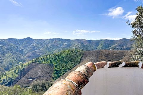 Villa a Almachar, Malaga, Almachar - € 349.000 | Ref: IREC2611 - foto 29