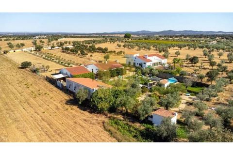 Farm i Arraiolos, Evora, Arraiolos - € 780.000 | Ref: PB2026496 - foto 40