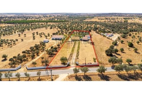Farm i Arraiolos, Evora, Arraiolos - € 780.000 | Ref: PB2026496 - foto 44