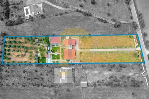 Farm i Arraiolos, Evora, Arraiolos - € 780.000 | Ref: PB2026496 - foto 45