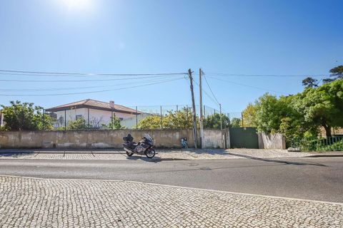 Farm hus i Cascais, Lisbon, Cascais - € 1.150.000 | Ref: C0468-00558 - foto 4