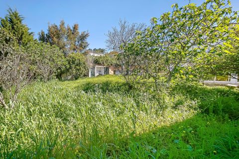 Farm hus i Cascais, Lisbon, Cascais - € 1.150.000 | Ref: C0468-00558 - foto 9