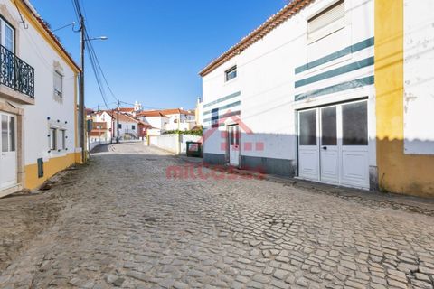 Farm i Mafra, Lisbon, Mafra - € 665.000 | Ref: M139 MF (2) - foto 3