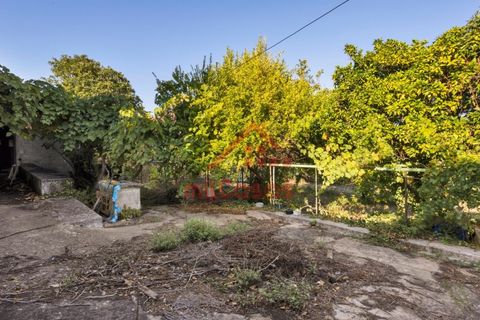 Farm i Mafra, Lisbon, Mafra - € 665.000 | Ref: M139 MF (2) - foto 21