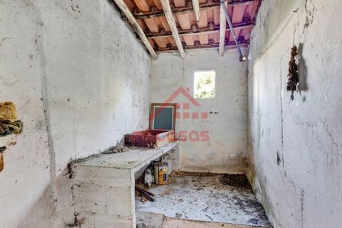 Farm i Mafra, Lisbon, Mafra - € 665.000 | Ref: M139 MF (2) - foto 22