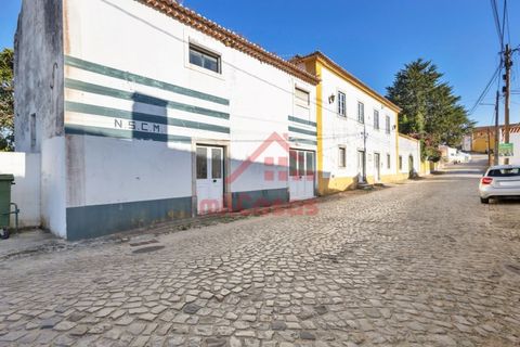Farm i Mafra, Lisbon, Mafra - € 665.000 | Ref: M139 MF (2) - foto 30