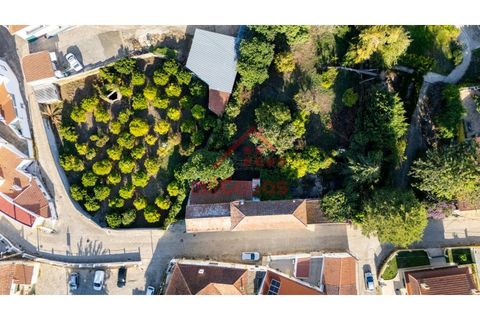 Farm i Mafra, Lisbon, Mafra - € 665.000 | Ref: M139 MF (2) - foto 31