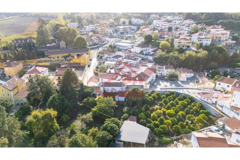 Farm i Mafra, Lisbon, Mafra - € 665.000 | Ref: M139 MF (2) - foto 32