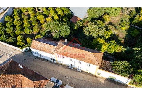 Farm i Mafra, Lisbon, Mafra - € 665.000 | Ref: M139 MF (2) - foto 35