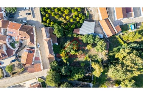 Farm i Mafra, Lisbon, Mafra - € 665.000 | Ref: M139 MF (2) - foto 39