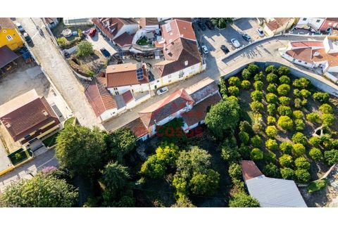 Farm i Mafra, Lisbon, Mafra - € 665.000 | Ref: M139 MF (2) - foto 40