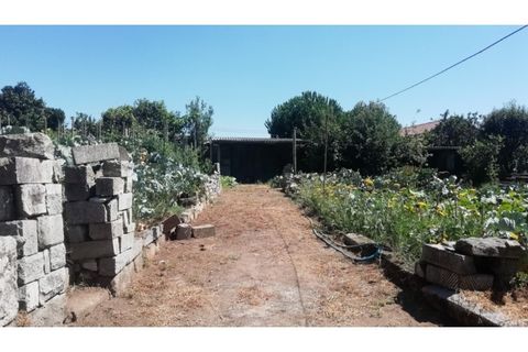 Tomt i Vila do Conde, Porto, Vila do Conde - € 138 000 | Ref: VC05275 - foto 2