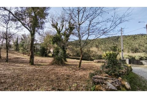 Terra a Amonde, Viana do Castelo, Amonde - € 87.000 | Ref: VCC14697 - foto 3