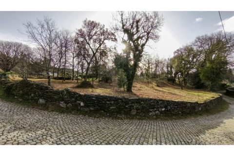 Terra a Amonde, Viana do Castelo, Amonde - € 87.000 | Ref: VCC14697 - foto 4