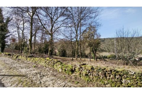 Terra a Amonde, Viana do Castelo, Amonde - € 87.000 | Ref: VCC14697 - foto 5