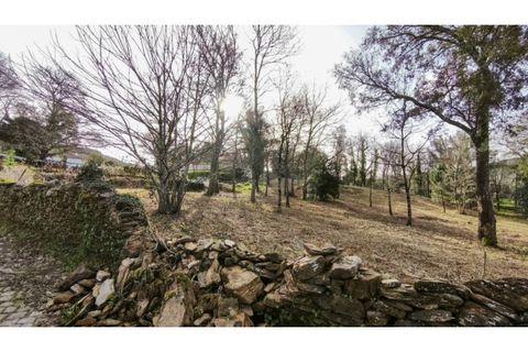 Terra a Amonde, Viana do Castelo, Amonde - € 87.000 | Ref: VCC14697 - foto 6