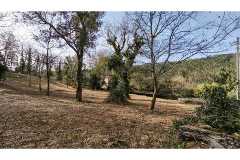 Terra a Amonde, Viana do Castelo, Amonde - € 87.000 | Ref: VCC14697 - foto 10