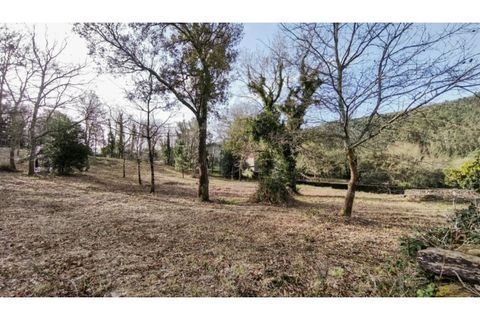 Terra a Amonde, Viana do Castelo, Amonde - € 87.000 | Ref: VCC14697 - foto 11