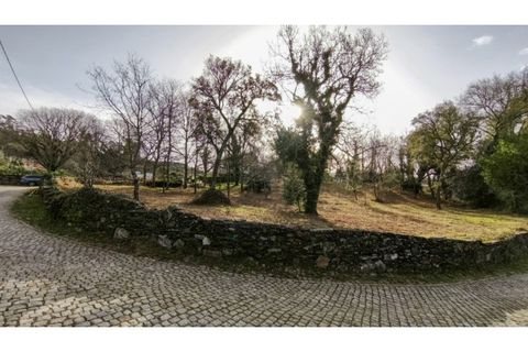 Terra a Amonde, Viana do Castelo, Amonde - € 87.000 | Ref: VCC14697 - foto 15