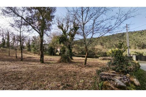 Terra a Amonde, Viana do Castelo, Amonde - € 87.000 | Ref: VCC14697 - foto 18