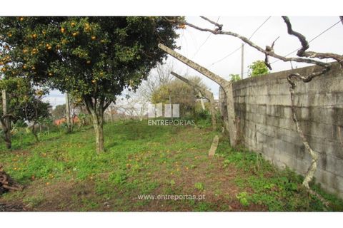 Villa i Cinfaes, Viseu, Cinfaes - € 65.000 | Ref: MC09876 - foto 12