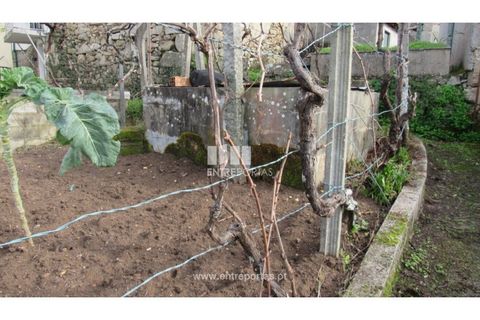 Villa i Cinfaes, Viseu, Cinfaes - € 65.000 | Ref: MC09876 - foto 18