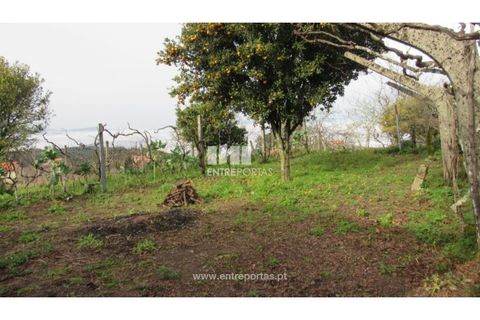 Villa i Cinfaes, Viseu, Cinfaes - € 65.000 | Ref: MC09876 - foto 21