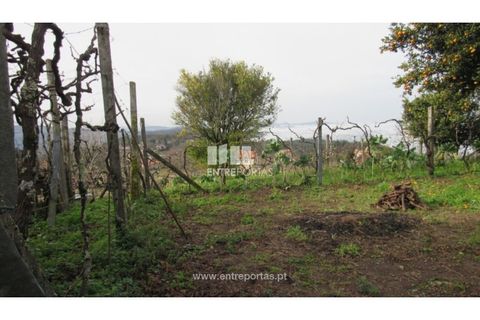 Villa i Cinfaes, Viseu, Cinfaes - € 65.000 | Ref: MC09876 - foto 22