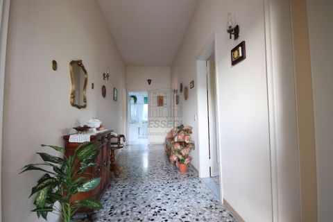 Villa i Capannori, Lucca, Capannori - € 325.000 | Ref: IA04205 - foto 3