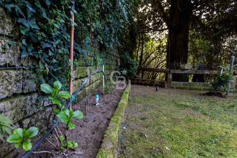 Villa i Carbognano, Viterbo, Carbognano - € 148.000 | Ref: CBI006-7-333073 - foto 31