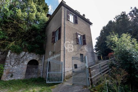 Villa i Carbognano, Viterbo, Carbognano - € 148.000 | Ref: CBI006-7-333073 - foto 46