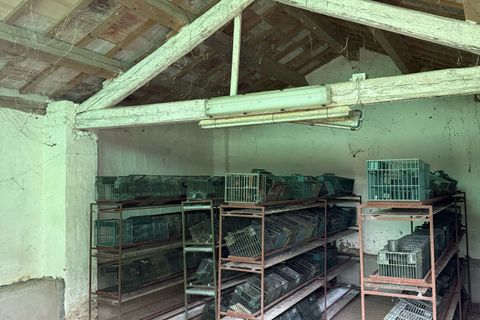 Villa a Gatteo, Forli-Cesena, Gatteo - € 295.000 | Ref: 4392 - foto 17
