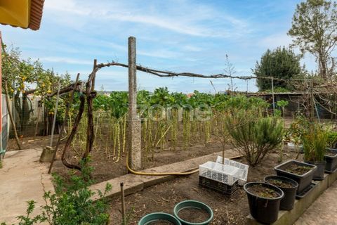 Villa i Almeirim, Santarem, Almeirim - € 1.000.000 | Ref: ZMPT587094 - foto 38