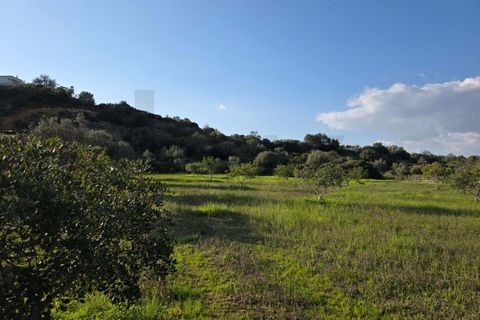Helårsgrund i Lagoa, Faro, Lagoa - € 45.000 | Ref: KWPT-030482 - foto 2