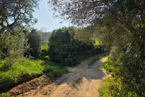 Helårsgrund i Lagoa, Faro, Lagoa - € 45.000 | Ref: KWPT-030482 - foto 4