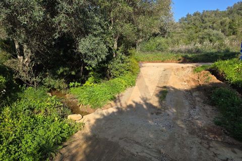 Helårsgrund i Lagoa, Faro, Lagoa - € 45.000 | Ref: KWPT-030482 - foto 5