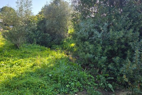 Helårsgrund i Lagoa, Faro, Lagoa - € 45.000 | Ref: KWPT-030482 - foto 6