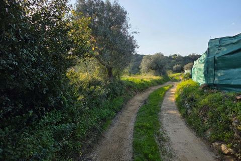 Helårsgrund i Lagoa, Faro, Lagoa - € 45.000 | Ref: KWPT-030482 - foto 7