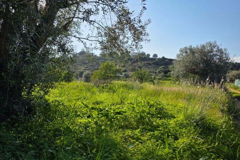 Helårsgrund i Lagoa, Faro, Lagoa - € 45.000 | Ref: KWPT-030482 - foto 8