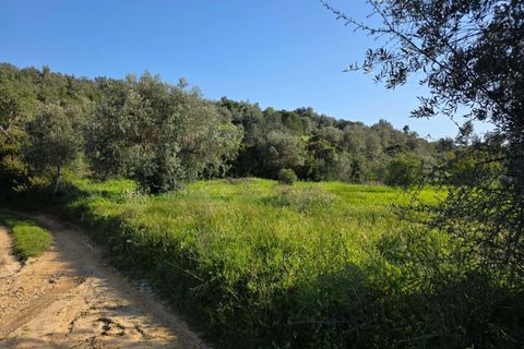 Helårsgrund i Lagoa, Faro, Lagoa - € 45.000 | Ref: KWPT-030482 - foto 9