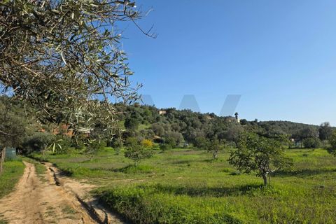 Helårsgrund i Lagoa, Faro, Lagoa - € 45.000 | Ref: KWPT-030482 - foto 10