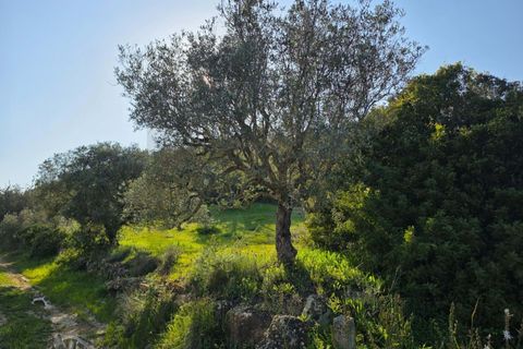 Helårsgrund i Lagoa, Faro, Lagoa - € 45.000 | Ref: KWPT-030482 - foto 11