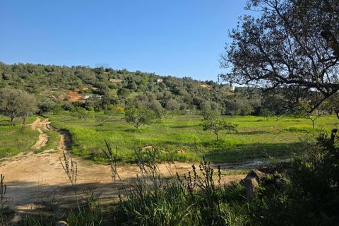 Helårsgrund i Lagoa, Faro, Lagoa - € 45.000 | Ref: KWPT-030482 - foto 12