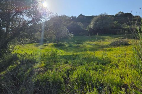 Helårsgrund i Lagoa, Faro, Lagoa - € 45.000 | Ref: KWPT-030482 - foto 13