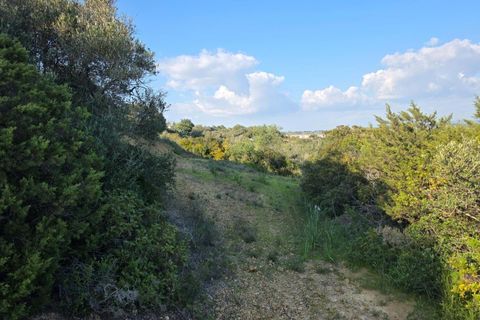 Helårsgrund i Lagoa, Faro, Lagoa - € 45.000 | Ref: KWPT-030482 - foto 14